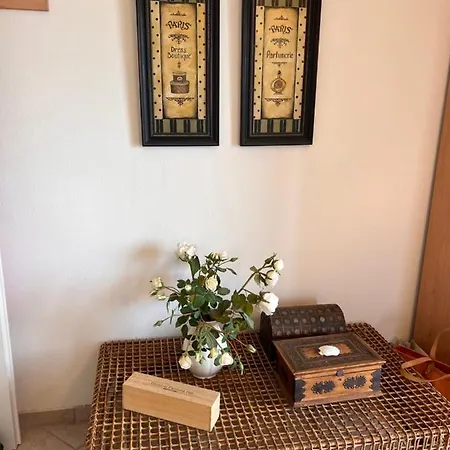 فيلة Country