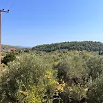 Country